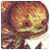 Advopmevodork's Avatar