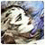 apariser's Avatar