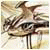 ABPiollaomimilm's Avatar