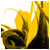 A.-Gedo's Avatar