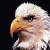 AnunkPoops's Avatar