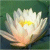 Gaillmaro's Avatar