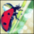 TatunXamon's Avatar