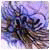 AAimilialowly's Avatar
