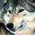 nalaponry's Avatar
