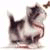 Naira938's Avatar
