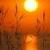 FFLemHooliffrer's Avatar