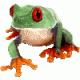 ragsbubsego's Avatar