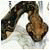 rabogegetscor's Avatar