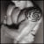 zaga8's Avatar