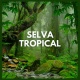 Selva's Avatar